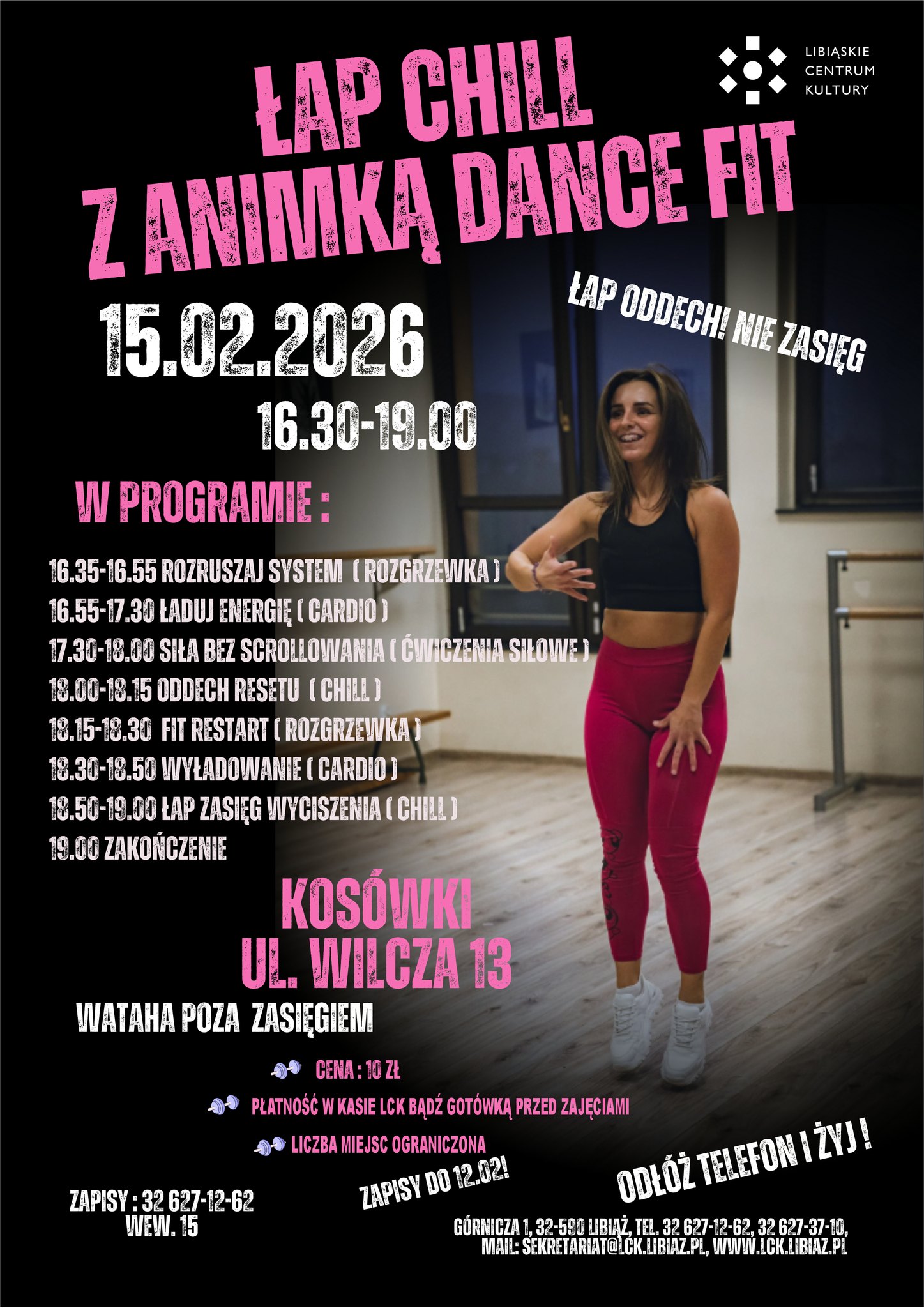chill z animką